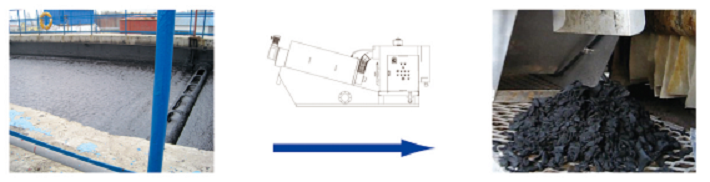 dewatering screw press for sludge dewater.png